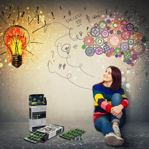 Ginkgo Biloba High Strength by Nutraking (32 Day Supply) - Brain Supplement for Focus with Ginkgo Biloba (500Mg - 24% Flavonoids), Bacopa Monnieri (1200Mg), Choline (50Mg), Rosemary Leaf (250Mg)