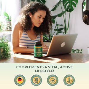 Primal Harvest Multivitamin Complex - Daily One-A-Day Supplement with Biotin, Zinc & Vitamin Complex, High Dosage, for Men & Women,1 Pack: 30 Servings