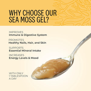 Wyld Herbs All-Natural Turmeric & Ginger Infused Sea Moss Gel | 100% Wildcrafted Sea Moss | Superfood Rich in Minerals, Proteins & Vitamins - Vegan & Gluten Free 300ML