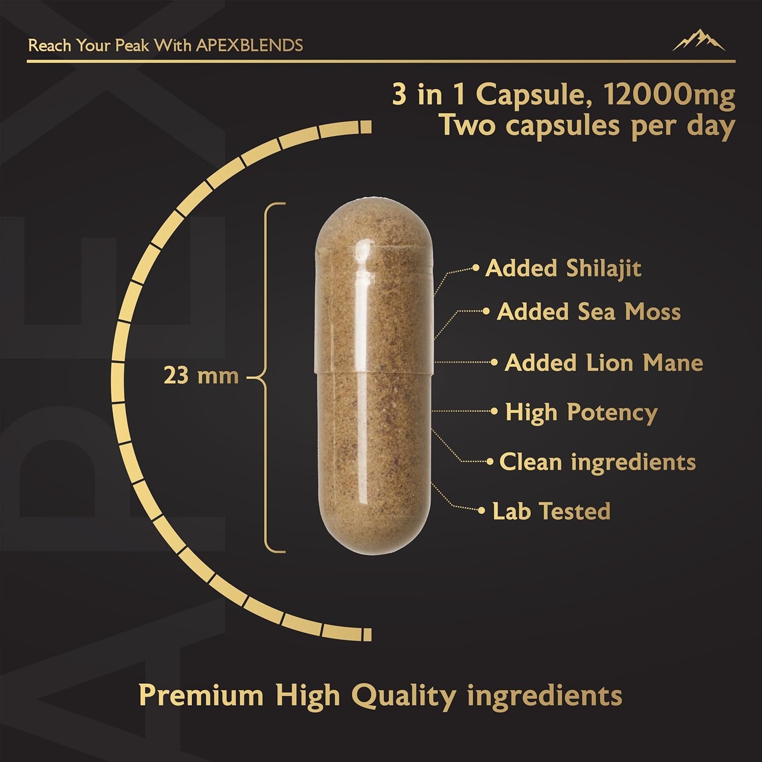 3-In-1 Shilajit, Seamoss and Lions Mane Capsules - High Strength 12000Mg Lion'S Mane Shilajit and Irish Sea Moss | Fulvic Acid, Organic Sea Moss | Supplements for Men and Women | 90 Vegan Capsules