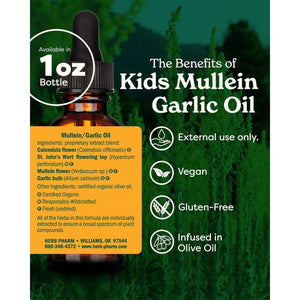 Herb Pharm Kids Mullein and Garlic Oil, 1 Ounce