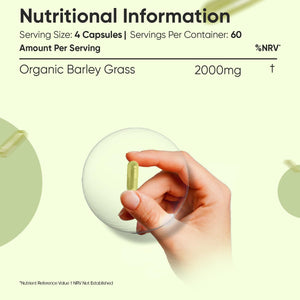 Organic Barley Grass Powder Capsules - 240 Capsules - Barley Grass Supplement - 2 Months Supply - Non-Gmo & Gluten-Free - Vegan-Friendly & Magnesium Stearate-Free - Made in EU - for Men & Women