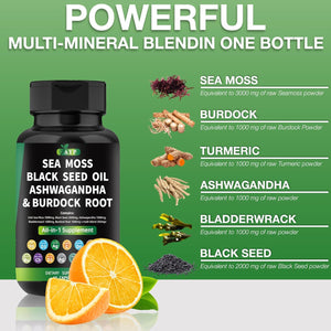 AYP Sea Moss Bladderwrack Black Seed Oil Ashwagandha Burdock Root Capsules Multi Blend Supplement + Multi Vitamin Turmeric Manuka Honey Elderberry Chlorophyll