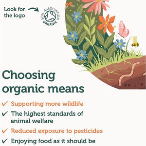 Ausha Organic Neem Powder 200G - UK Certified Organic by Soil Association