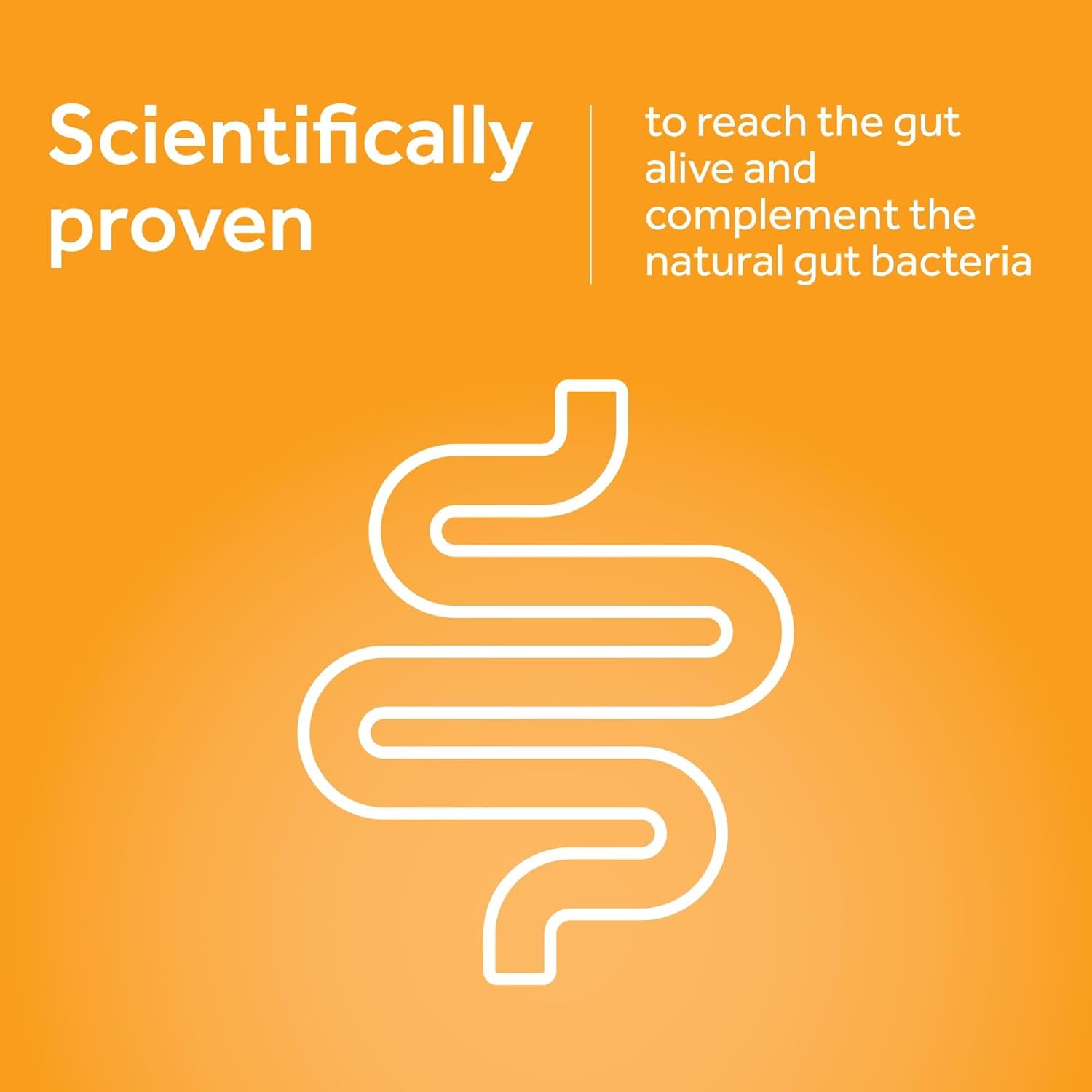 Optibac Probiotics Travel Abroad - Highly Researched Vegan Digestive Probiotic Supplement - Expertly Formulated for Travel & a Range of Climate Conditions - with Saccharomyces Boulardii - 20 Capsules