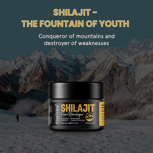 Shilajit Resin, Original Himalayan Shilajit 30G - Gold Grade 100% Pure, Rich in Fulvic & Humic Acid, Minerals, Immune System & Vitality Booster, Vegan (Pack of 1)