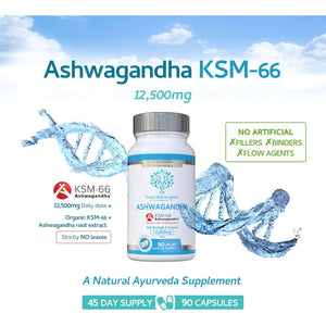 Ashwagandha KSM-66 : 12,500Mg Daily Super High Strength Ashwagandha - 5% Withanolides - Equivalent 1000Mg Extract - No Artificial Fillers or Binders - Organic Withania Somnifera Root - UK Made