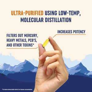 Triple Strength Omega 3 Fish Oil 3600 Mg | EPA & DHA | over 2100Mg Omega-3 Fatty Acids | 1300Mg EPA + 860Mg DHA | Best Essential Fatty Acids | Premium Wild Caught & Burpless Fish Oil | 120 Ct