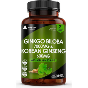 Ginkgo Biloba and Korean Ginseng Tablets - 7000Mg Ginkgo Biloba Herbal Supplements & 600Mg Panax Ginseng High Strength Extract - Enriched with Vitamin B3 & B5-120 Vegan Tablets