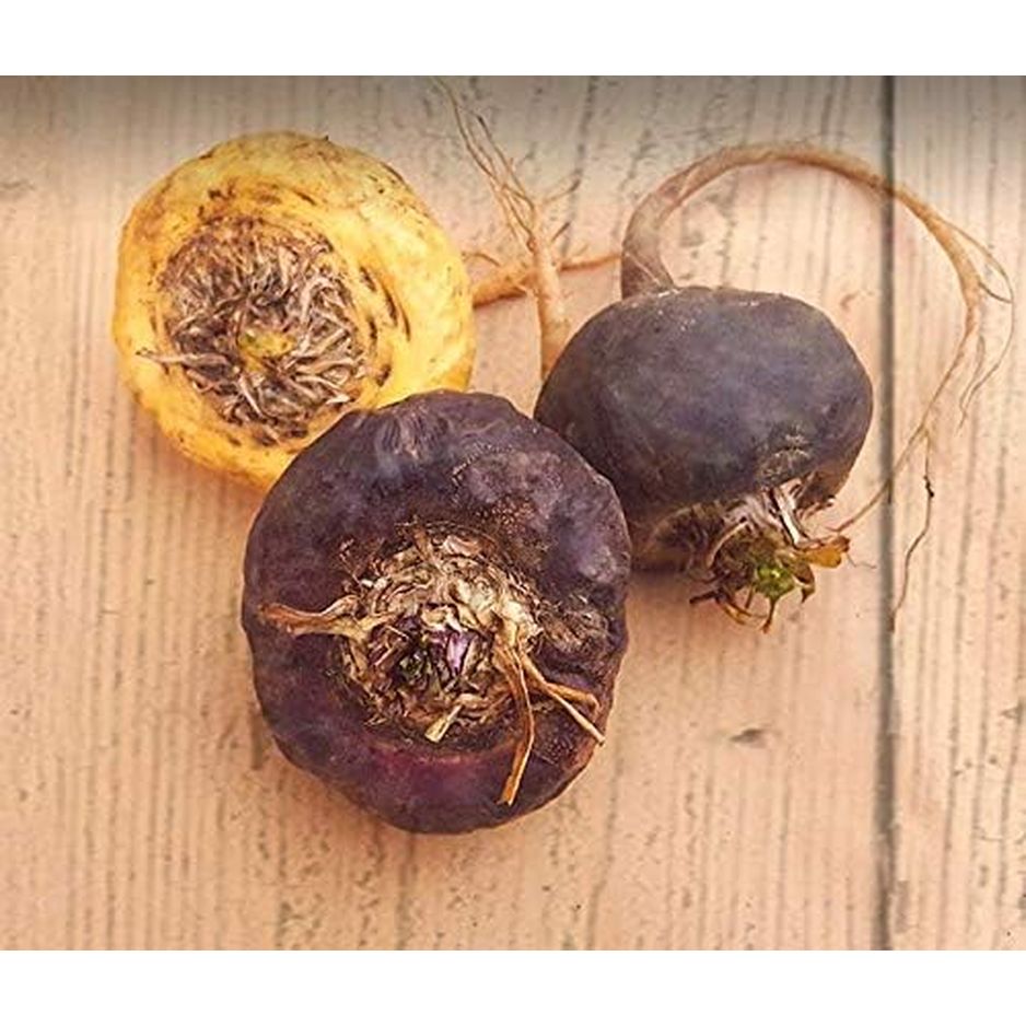 Organic Red Maca Root Gelatinized Powder, Soil Association Certified, 250G from the High Peruvian Mountains.