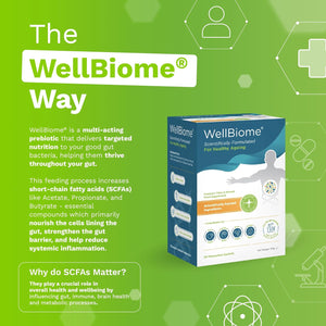 Prebiotic Fibre Complex for Gut Health by Wellbiome – Probiotic Support, Digestive Wellness, Immune System Support – Magnesium for Anxiety, Mood & Energy – 30 Servings
