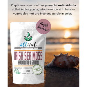 Purple Sea Moss - Raw Wildcrafted St Lucian, 100G Purple Irish Seamoss, Non GMO, Full of Minerals, Great for Smoothies, Soups, Salads…