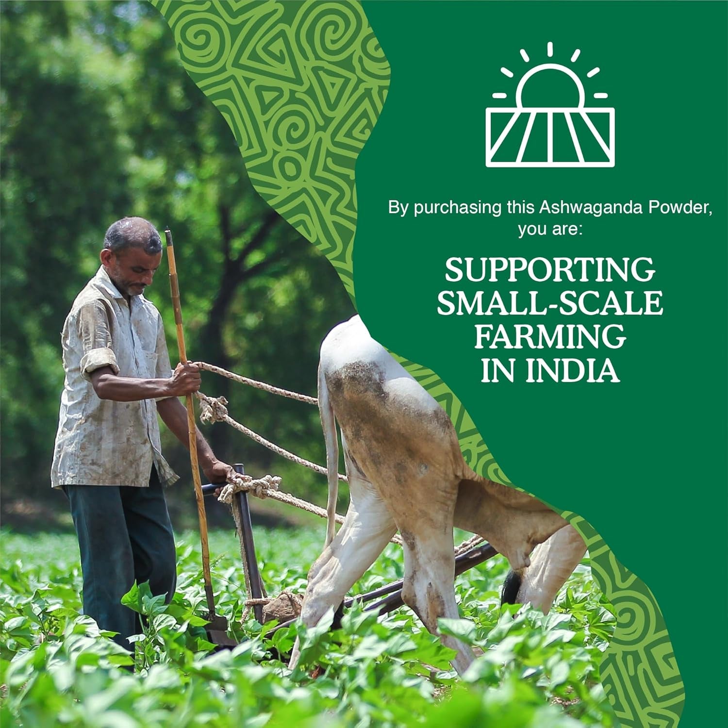 Organic Ashwagandha Powder 500G, by Yin & Yang Superfoods. 100% Pure and Raw - Premium Quality. Vegan, Gluten Free & Palm Oil Free.