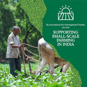 Organic Ashwagandha Powder 500G, by Yin & Yang Superfoods. 100% Pure and Raw - Premium Quality. Vegan, Gluten Free & Palm Oil Free.