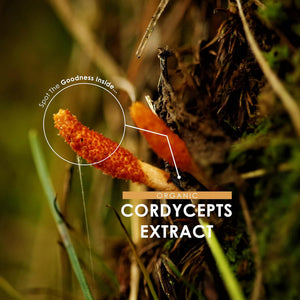 Organic Cordyceps Mushroom Extract 7500Mg – High Strength Polysaccharides Supplement – 90 Vegan Capsules (3 Months Supply) – Resealable and Recyclable Pouch – by Alpha01