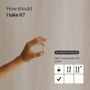 Panax Ginseng Extract – 50 Mg Ginsenosides per Capsule, 2375 Mg Whole Plant Equivalent – Vegan, No Additives, Non-Gmo – 120 Capsules – Zenement