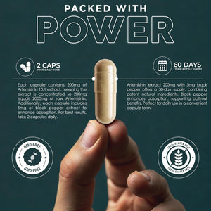 Earth Botanic Organic Artemisinin (Artemisia Absinthium) with Piperine - 120 Vegan Capsules Supports Immunity -60 Days Supply - Non-Gmo, Gluten Free, No Additives