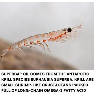 Superba Krill Oil Supplement with EPA & DHA Omega 3, Phospholipids & Astaxanthin | High Strength Krill Oil 60 Capsules