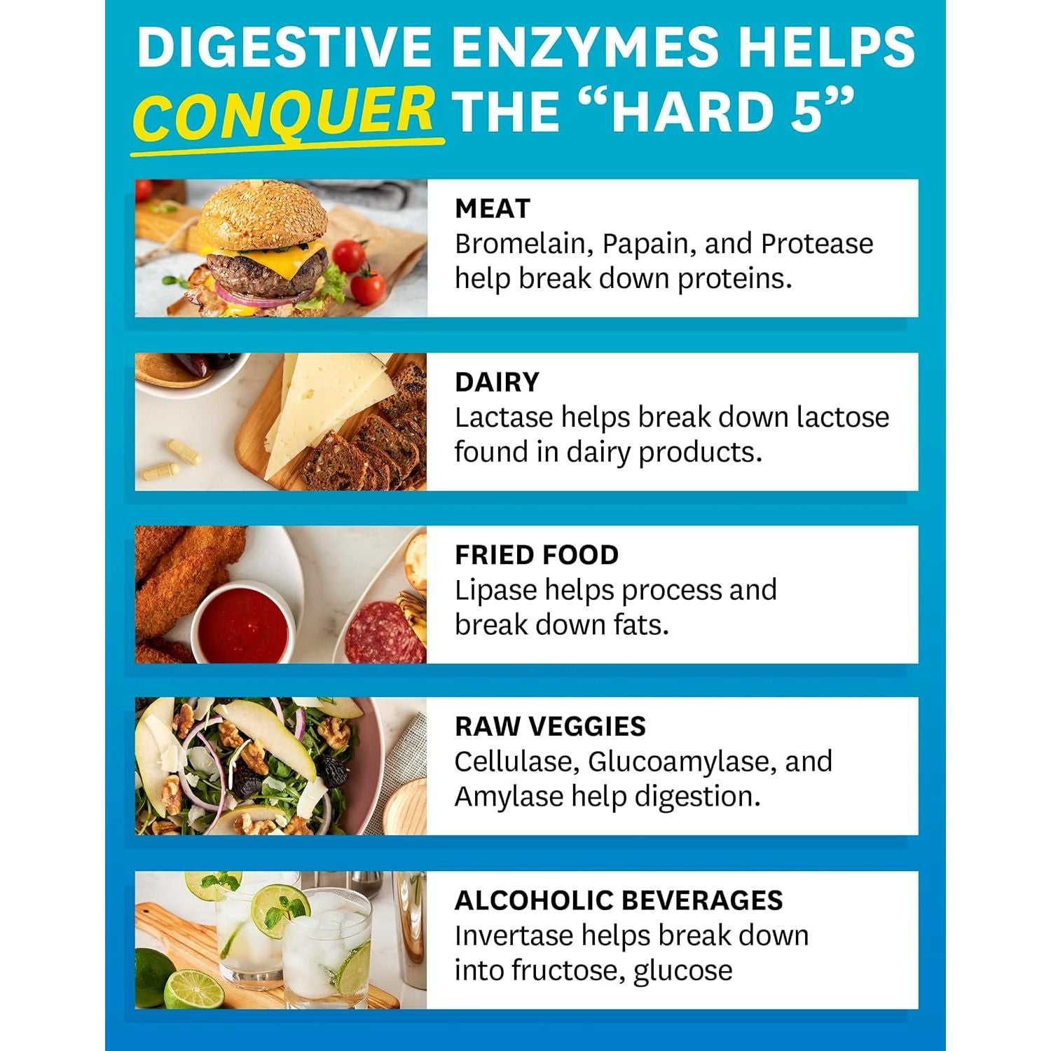 Zenwise Health Digestive Enzymes + Probiotics for Gut Health - 100 Count