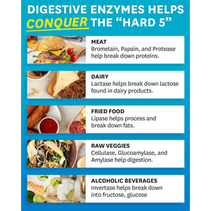 Zenwise Health Digestive Enzymes + Probiotics for Gut Health - 100 Count