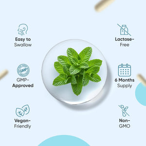 Weightworld L-Theanine Supplement | 408Mg Vegan Capsules | 6 Months Supply | with Added Vitamin B6 (0.5Mg) & Black Pepper Extract (8Mg) | 1 Capsule a Day | Non-Gmo & Gluten-Free