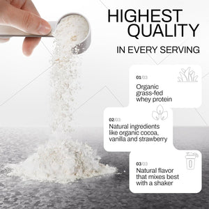 ORGAINIC Organic Vanilla Whey Protein - Organic Certified without Additives - Protein Powder from Germany - Grass Feed - 1000G