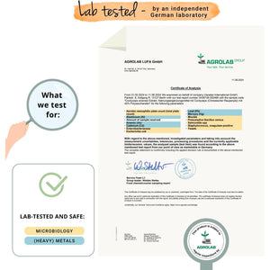 Vegavero Cordyceps Sinensis 6500 Mg | 10:1 Mushroom Extract | 4-Month Supply | 40% Polysaccharides | NO Additives | Lab-Tested | Vegan