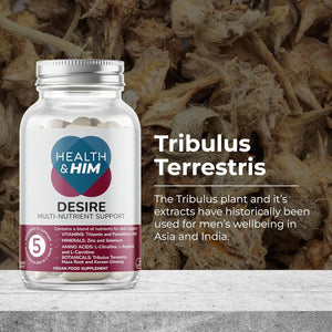 Health & Him Desire Supplements for Men - 60 Capsules - Supplements for Men with Maca Root & Korean Ginseng - Vegan, Gluten-Free