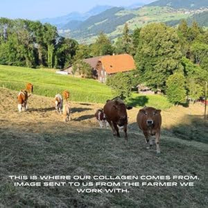 APE Nutrition Collagen Powder Peptides | 400G Type 1 & 3 Bovine Collagen Protein | 100% Grass-Fed & Finished, Ancestral Supplement UK | Unflavoured, Improves Hair Skin & Nail Health