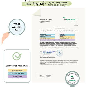 Vegavero Organic Ginger Capsules | 650 Mg Root Powder | NO Additives | Lab-Tested | 120 Units | Vegan