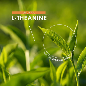 Organic L-Theanine 400Mg from Green Tea Extract - 60 Vegan Capsules (2 Months Supply) - High Strength Theanine Amino Acid Supplement - by Alpha01