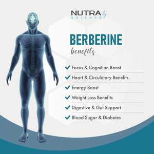 Berberine Supplement (98% Purity) Advanced Berberine High Strength 500Mg, 60 Natural Berberine Capsules Vegan Tablets