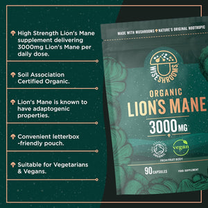 Organic Lions Mane Supplement 3000Mg | High Strength Mushroom Supplement | from Fruit Body | 90 Vegan Capsules | by Wiseshrooms