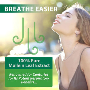 2 Pack Mullein Drops for Lungs, Mullein Leaf Extract with Chlorophyll, Mullein Leaf Extract Supplement, for Lung Cleanse and Respiratory Support