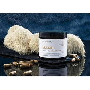 High Potency Lions Mane Supplement 12,000Mg with Zinc for Normal Cognitive Function & Cell Protection - Maximum Strength Organic Lions Mane - 30% Polysaccharides - UK Made 60 Capsules (30 Servings)