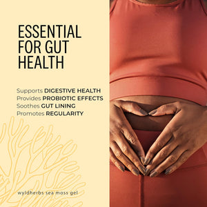 Wyld Herbs All-Natural Organic Sea Moss Gel | 100% Wildcrafted Dr Sebi Sea Moss | Superfood Rich in Minerals, Proteins & Vitamins - Vegan & Gluten Free Sourced from the Caribbean 720ML