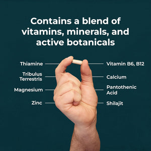 Health & Him Andropause 55+ Supplements for Men - with Shilajit & Tribulus Terrestris - Mens Multivitamin 60 Capsules. Vegan, Gluten-Free