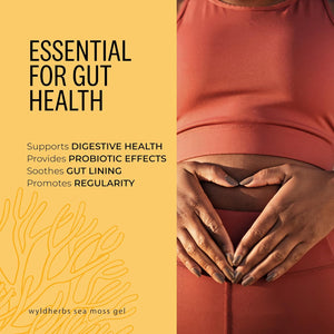 Wyld Herbs All-Natural Turmeric & Ginger Infused Sea Moss Gel | 100% Wildcrafted Sea Moss | Superfood Rich in Minerals, Proteins & Vitamins - Vegan & Gluten Free 300ML