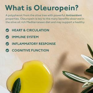 Organic Olive Leaf Extract 500Mg | Standardised for 20% Oleuropein | 120 Vegan Capsules | Made in the UK