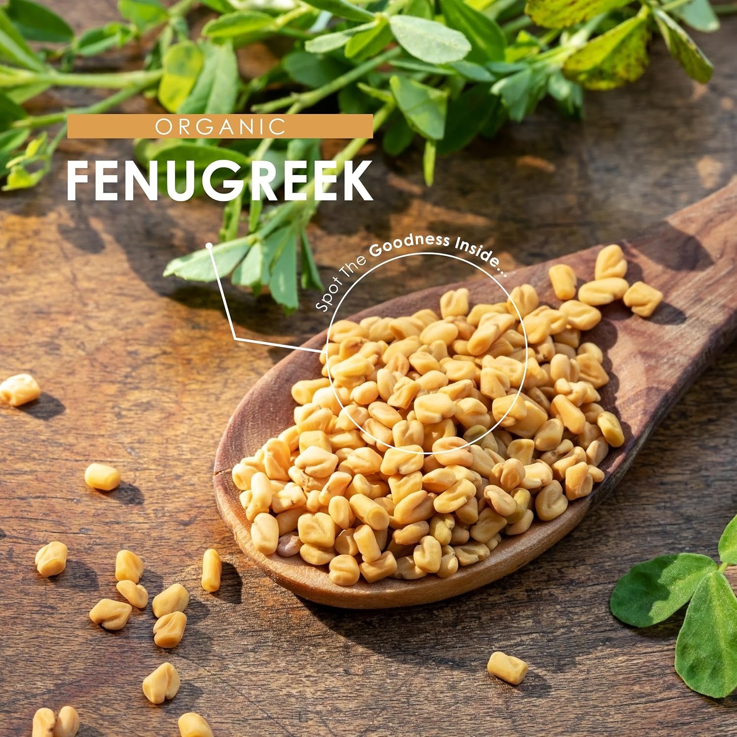 Organic Fenugreek 2250Mg - High Strength Fenugreek Supplement – 90 Vegan Capsules (30 Days Supply) – Resealable and Recyclable Pouch by Alpha01