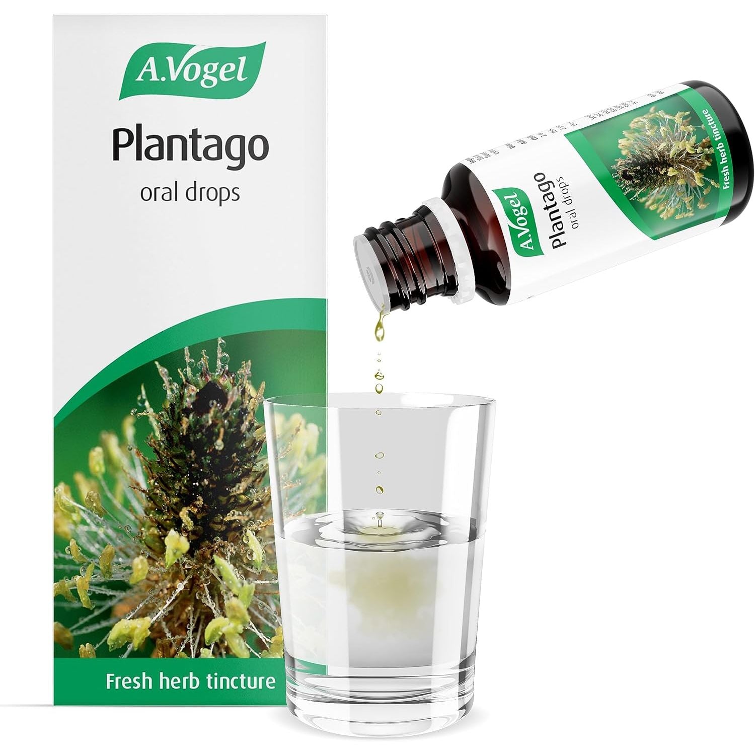 A.Vogel Plantago Drops | Organically Grown & Freshly Harvested |Suitable for Adults & Children from the Age of 2 | Suitable for Vegans | 50Ml