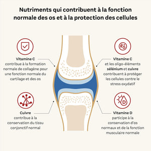 Doppelherz - Kollagen 11000 plus - Collagen Hydrolysate, Chondroitin Sulphate, Vitamins C and D and Trace Elements - for Bones, Cartilages and Tendons - Wild Berry Flavour Liquid- 30 Bottles of 25Ml