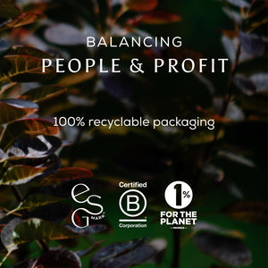 Ancient + Brave True Nightcap 180G - Sleep Supplement for Adults with Magnesium, Zinc, Vitamin C, Amino Acids - Natural Sleep Aid Powder - Recover Sleep, Anxiety Support, Lemon Ginger Flavor, Vegan