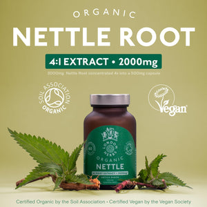 Organic Stinging Nettle Root Extract 2000Mg | High Strength 4:1 Extract Stinging Nettle Supplement | 60 Vegan Capsules | Made in the UK | Sustainably Packaged & Produced