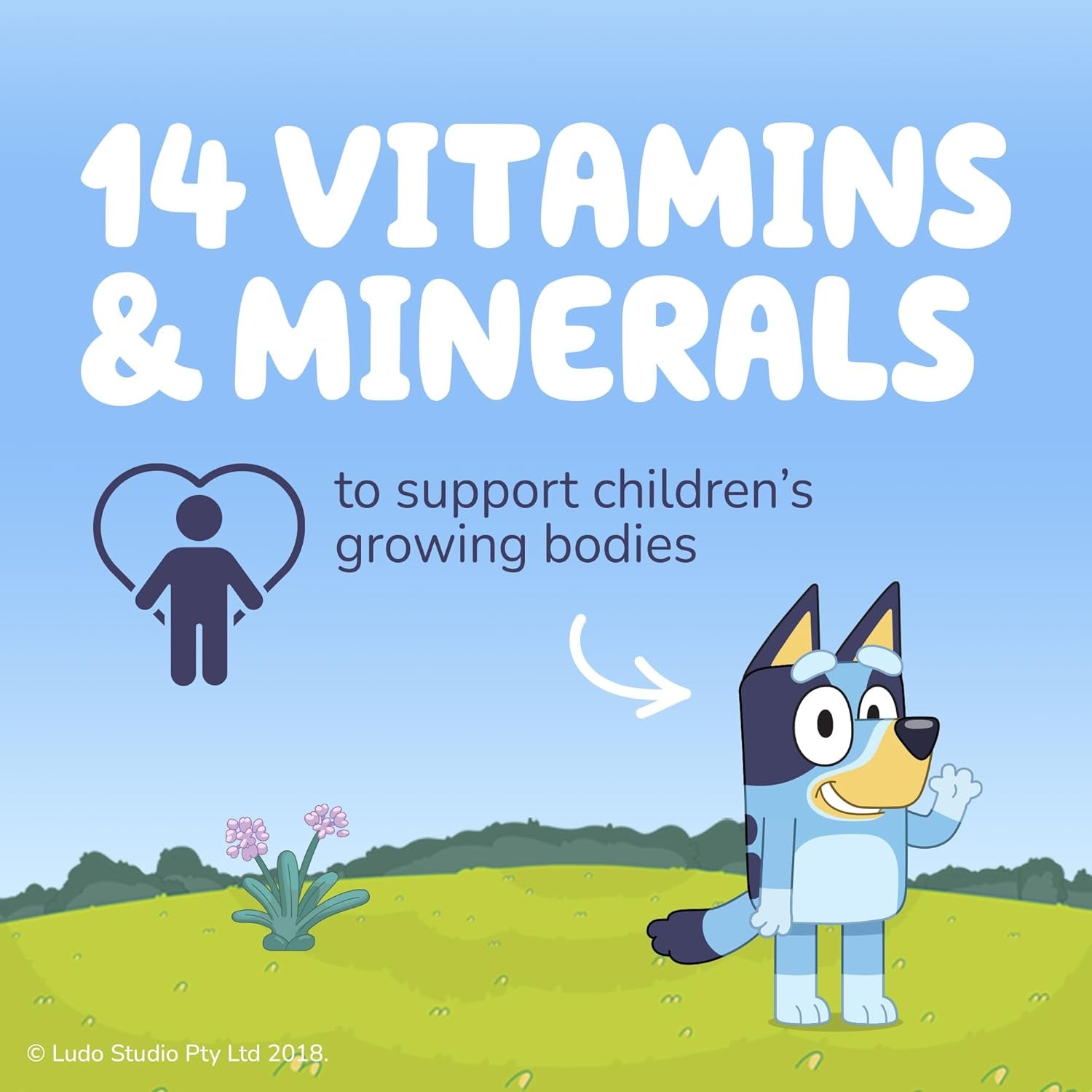 Bluey Kids Multivitamin Gummies - 14 Essential Vitamins & Minerals to Support Growing Bodies, Immunity & Tiredness - Strawberry, No Added Sugar, Vegan, Gluten Free - 30 Gummys for Children Ages 3-12