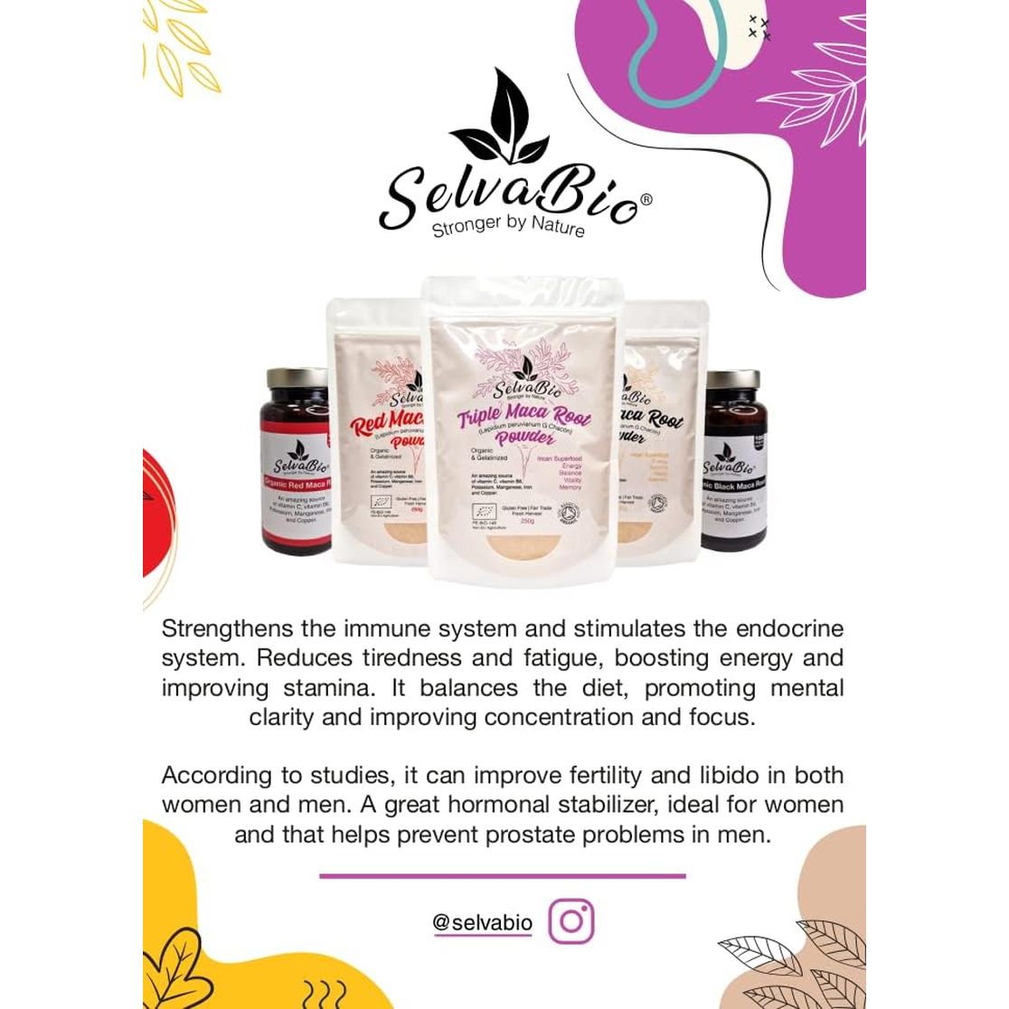 Organic Red Maca Root Gelatinized Powder, Soil Association Certified, 250G from the High Peruvian Mountains.