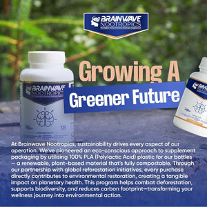 Brainwave Nootropics® | High Strength Nootropic & Adaptogen Brain Function & Immune System Support Complex | Ashwagandha 1000Mg - Lion'S Mane 1000Mg - L-Theanine 300Mg - Vitamins D3, B5, B12, Zinc