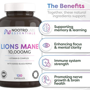 Nootro Labs Essentials Lion'S Mane Capsules (60 Servings), 10000Mg Lions Mane Supplement with Vitamin B Complex to Support Focus and Brain Function