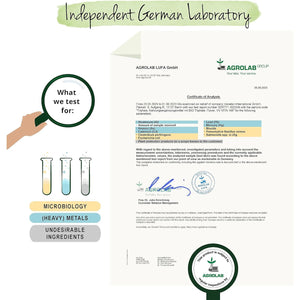 Vegavero Pure Triphala Powder Organic 1300 Mg | 180 Capsules (3 Month Supply) | NO Additives, Lab-Tested | Ayurveda Products | Gut Health Supplements & Immune System Booster | Vegan