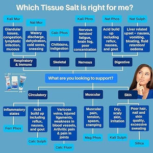 Schuessler Silica Tablets - Pack of 125